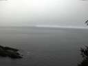 ./images/koeye/fitz-hugh/20150307/fitz-hugh20150307_110302.jpg
