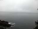 ./images/koeye/fitz-hugh/20150308/fitz-hugh20150308_080302.jpg