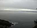 ./images/koeye/fitz-hugh/20150308/fitz-hugh20150308_100302.jpg