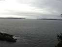 ./images/koeye/fitz-hugh/20150308/fitz-hugh20150308_121801.jpg