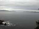 ./images/koeye/fitz-hugh/20150308/fitz-hugh20150308_180303.jpg