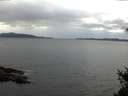 ./images/koeye/fitz-hugh/20150311/fitz-hugh20150311_080301.jpg