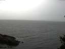 ./images/koeye/fitz-hugh/20150311/fitz-hugh20150311_120303.jpg