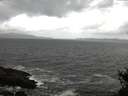 ./images/koeye/fitz-hugh/20150312/fitz-hugh20150312_120302.jpg