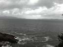 ./images/koeye/fitz-hugh/20150312/fitz-hugh20150312_121802.jpg