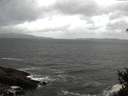 ./images/koeye/fitz-hugh/20150312/fitz-hugh20150312_122402.jpg
