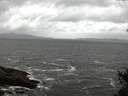 ./images/koeye/fitz-hugh/20150312/fitz-hugh20150312_123302.jpg