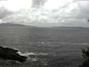 ./images/koeye/fitz-hugh/20150312/fitz-hugh20150312_140301.jpg