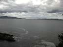 ./images/koeye/fitz-hugh/20150313/fitz-hugh20150313_100303.jpg