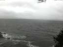 ./images/koeye/fitz-hugh/20150314/fitz-hugh20150314_100302.jpg