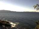 ./images/koeye/fitz-hugh/20150315/fitz-hugh20150315_140302.jpg
