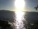 ./images/koeye/fitz-hugh/20150315/fitz-hugh20150315_180302.jpg