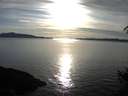./images/koeye/fitz-hugh/20150316/fitz-hugh20150316_180301.jpg