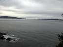 ./images/koeye/fitz-hugh/20150317/fitz-hugh20150317_140302.jpg