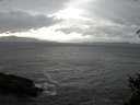 ./images/koeye/fitz-hugh/20150318/fitz-hugh20150318_160302.jpg