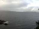 ./images/koeye/fitz-hugh/20150319/fitz-hugh20150319_100302.jpg