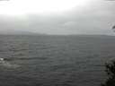 ./images/koeye/fitz-hugh/20150319/fitz-hugh20150319_120303.jpg