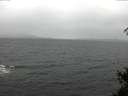 ./images/koeye/fitz-hugh/20150319/fitz-hugh20150319_121803.jpg