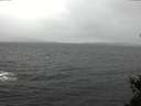 ./images/koeye/fitz-hugh/20150319/fitz-hugh20150319_122103.jpg
