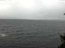./images/koeye/fitz-hugh/20150319/fitz-hugh20150319_122403.jpg