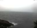 ./images/koeye/fitz-hugh/20150320/fitz-hugh20150320_080303.jpg