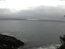 ./images/koeye/fitz-hugh/20150321/fitz-hugh20150321_080302.jpg