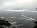 ./images/koeye/fitz-hugh/20150321/fitz-hugh20150321_100302.jpg