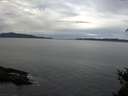 ./images/koeye/fitz-hugh/20150322/fitz-hugh20150322_122403.jpg