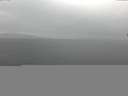 ./images/koeye/fitz-hugh/20150325/fitz-hugh20150325_120302.jpg