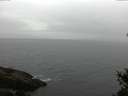 ./images/koeye/fitz-hugh/20150325/fitz-hugh20150325_121801.jpg