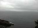 ./images/koeye/fitz-hugh/20150325/fitz-hugh20150325_122403.jpg
