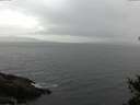 ./images/koeye/fitz-hugh/20150325/fitz-hugh20150325_123302.jpg