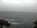 ./images/koeye/fitz-hugh/20150326/fitz-hugh20150326_120309.jpg