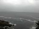 ./images/koeye/fitz-hugh/20150326/fitz-hugh20150326_122702.jpg