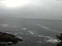 ./images/koeye/fitz-hugh/20150326/fitz-hugh20150326_123303.jpg