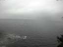 ./images/koeye/fitz-hugh/20150326/fitz-hugh20150326_180302.jpg