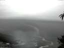 ./images/koeye/fitz-hugh/20150327/fitz-hugh20150327_123301.jpg