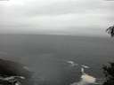 ./images/koeye/fitz-hugh/20150327/fitz-hugh20150327_140303.jpg