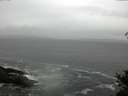 ./images/koeye/fitz-hugh/20150327/fitz-hugh20150327_160302.jpg