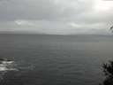 ./images/koeye/fitz-hugh/20150328/fitz-hugh20150328_080302.jpg