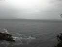./images/koeye/fitz-hugh/20150328/fitz-hugh20150328_120302.jpg