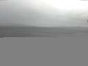 ./images/koeye/fitz-hugh/20150328/fitz-hugh20150328_140302.jpg