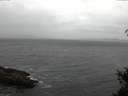 ./images/koeye/fitz-hugh/20150328/fitz-hugh20150328_160302.jpg