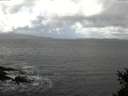 ./images/koeye/fitz-hugh/20150329/fitz-hugh20150329_121803.jpg