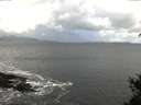 ./images/koeye/fitz-hugh/20150329/fitz-hugh20150329_122402.jpg