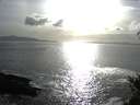 ./images/koeye/fitz-hugh/20150329/fitz-hugh20150329_180302.jpg