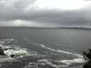 ./images/koeye/fitz-hugh/20150330/fitz-hugh20150330_122102.jpg