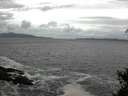 ./images/koeye/fitz-hugh/20150330/fitz-hugh20150330_140301.jpg