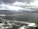 ./images/koeye/fitz-hugh/20150331/fitz-hugh20150331_100303.jpg