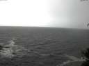./images/koeye/fitz-hugh/20150331/fitz-hugh20150331_123302.jpg